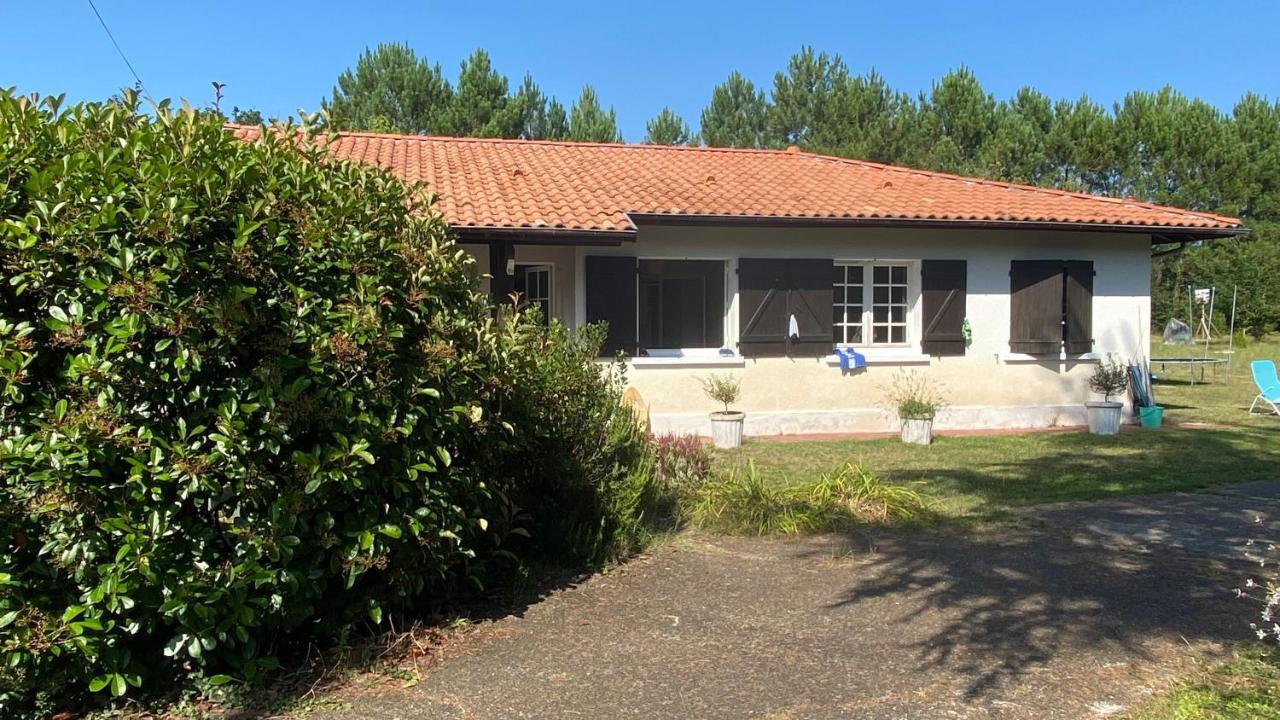 Villa Cool Landes Sainte-Eulalie-en-Born Exterior foto
